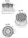 Fig. 06 - Brush part for electric toothbrush