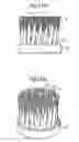 Fig. 07 - Brush part for electric toothbrush