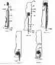 Fig. 02 - Toothbrush having a tongue scraper