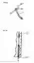 Fig. 10 - Toothbrush having a tongue scraper