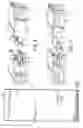Fig. 02 - Flooring panel or wall panel and use thereof