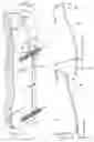 Fig. 06 - Foundation rebar hangers