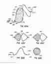 Fig. 47 - Spiral shaped filter