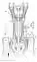 Fig. 02 - Accessory gearbox