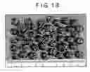 Fig. 13 - Granular metallic iron