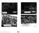 Fig. 02 - Nucleophilic modifier functionalized and/or crosslinked solvent-resistant polymide and copolymer membranes
