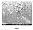 Fig. 02 - Compositions comprising fine sedimentary kaolin and methods for preparing same