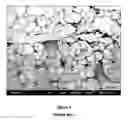Fig. 04 - Compositions comprising fine sedimentary kaolin and methods for preparing same