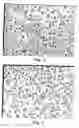 Fig. 05 - Method and apparatus for counting somatic cells or fat droplets in milk