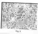 Fig. 06 - Method and apparatus for counting somatic cells or fat droplets in milk