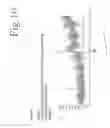 Fig. 15 - Method and arrangement for the tiration of physiological measuring signals in conjunction with the observation of a patient in terms of sleep-related respiratory problems