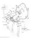 Fig. 01 - Aerosol inhalation system and interface accessory for use therewith