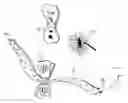 Fig. 02 - Decorative head band system with interchangeable components and associated business method for selling decorative head band systems with interchangeable components
