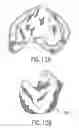 Fig. 09 - Collapsible panels having multiple frame members