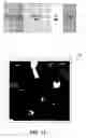 Fig. 13 - Photovoltaic cell