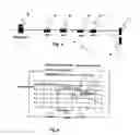 Fig. 03 - Coil winding method for metal in bars