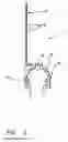 Fig. 03 - Adjustable head for fixing and guiding a retractable screen to the frame of a door, a window or a french door
