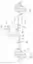 Fig. 06 - Machine for making/treating a sheet of material