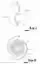 Fig. 07 - Heat exchanger
