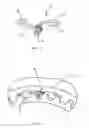 Fig. 04 - Guidance of a disc brake
