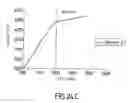 Fig. 25 - Vehicle structural element serving to absorb certain shocks by plastic deformation
