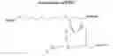 Fig. 01 - Matrix for separation of polyethers and method of separation