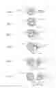Fig. 04 - Separable center position coupling