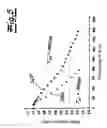 Fig. 06 - Method and device for producing subsurface markings in a transparent material body