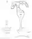 Fig. 08 - Apparel hook with extension