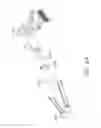 Fig. 55 - Hand-held laser scanning device for scanning a product item