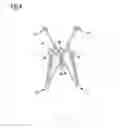 Fig. 05 - Support/assembly structure and article retaining arrangements
