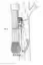 Fig. 06 - Portable mount for archery quiver