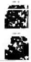 Fig. 09 - Metal-doped semiconductor nanoparticles and methods of synthesis thereof