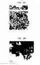 Fig. 14 - Metal-doped semiconductor nanoparticles and methods of synthesis thereof