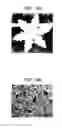 Fig. 16 - Metal-doped semiconductor nanoparticles and methods of synthesis thereof
