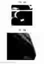 Fig. 25 - Metal-doped semiconductor nanoparticles and methods of synthesis thereof