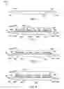 Fig. 03 - Large die package and method for the fabrication thereof