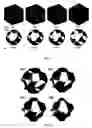 Fig. 08 - Tissue support structure