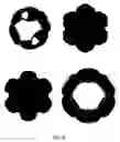Fig. 09 - Tissue support structure