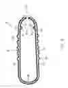 Fig. 07 - Wing holder