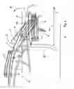 Fig. 04 - Vehicle with retractable open top and method for stowing same, with horizontal tilting system