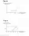 Fig. 10 - Permanent magnet embedment rotating electric machine, motor for car air conditioner, and enclosed electric compressor