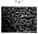 Fig. 02 - White-light light emitting diode device