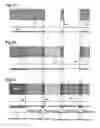 Fig. 09 - Semiconductor device and manufacturing method thereof