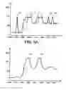 Fig. 06 - Device and process for determination of the resistivity of a formation surrounding a cased borehole