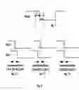 Fig. 05 - Apparatus for enabling duty cycle locking at the rising/falling edge of the clock
