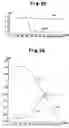 Fig. 22 - Voltage generator circuit and method for controlling thereof