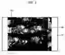 Fig. 02 - Image distortion prevention apparatus and method