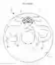 Fig. 01 - Aperture apparatus