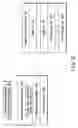 Fig. 10 - Information recording medium, information recording apparatus, and information reproducing apparatus